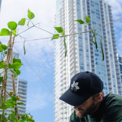 Man taking care of a plant in an urban setting